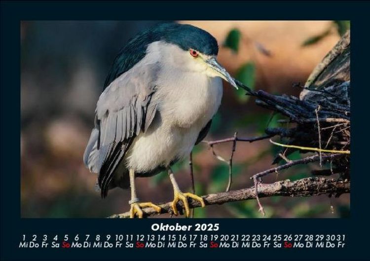 Produktbild: Der Tierkalender 2025 Fotokalender DIN A5