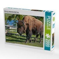 Produktbild: CALVENDO Puzzle Bison im Yellowstone Nat'l Park 2000 Teile Lege-Gr&ouml;&szlig;e 90 x 67 cm Foto-Puzzle Bild von Dieter-M. Wilczek