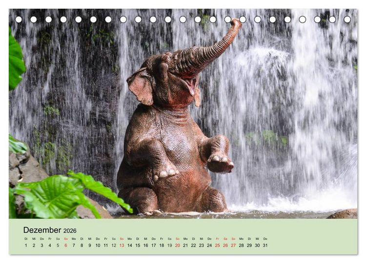 Produktbild: Elefanten. Badespa&szlig; am Strand (Tischkalender 2026 DIN A5 quer), CALVENDO Monatskalender