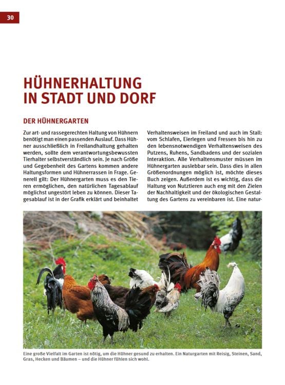 Produktbild: Das H&uuml;hnerbuch