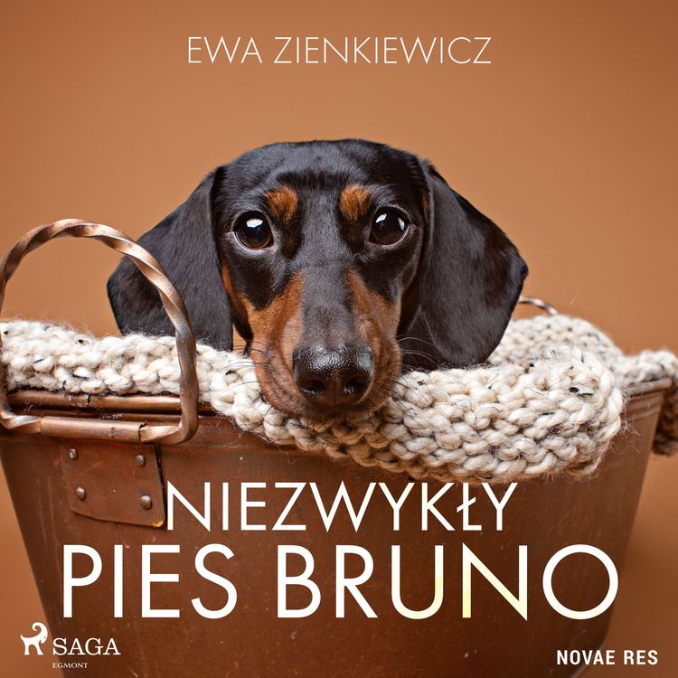 Produktbild: Niezwykły pies Bruno
