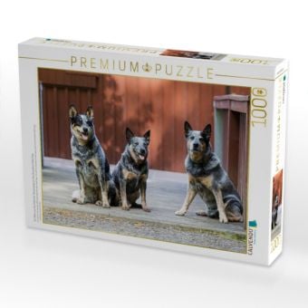 Produktbild: CALVENDO Puzzle Ein Motiv aus dem Kalender Spaziergang am See Australian Cattle Dogs | 1000 Teile Lege-Gr&ouml;&szlig;e 64x48cm Foto-Puzzle f&uuml;r gl&uuml;ckliche Stunden