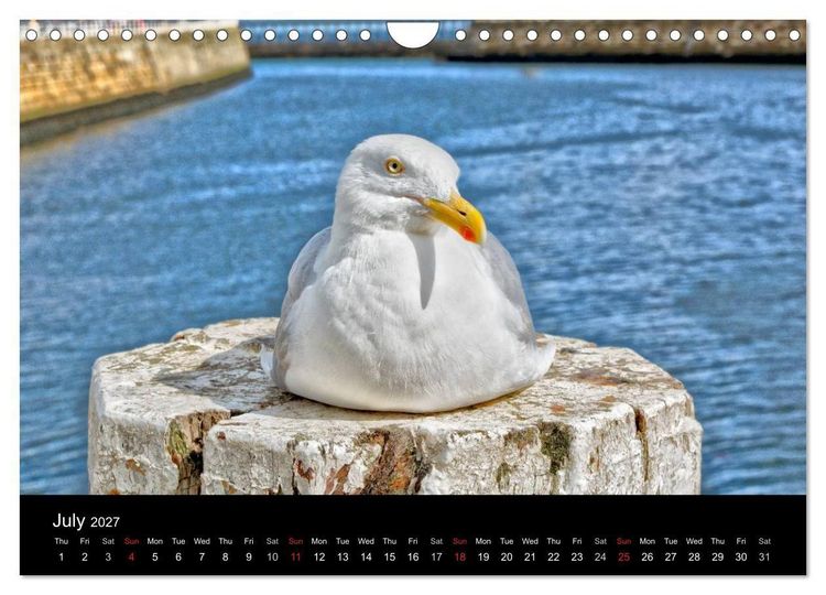 Produktbild: Whitby Harbour (Wall Calendar 2027 DIN A4 landscape), CALVENDO 12 Month Wall Calendar
