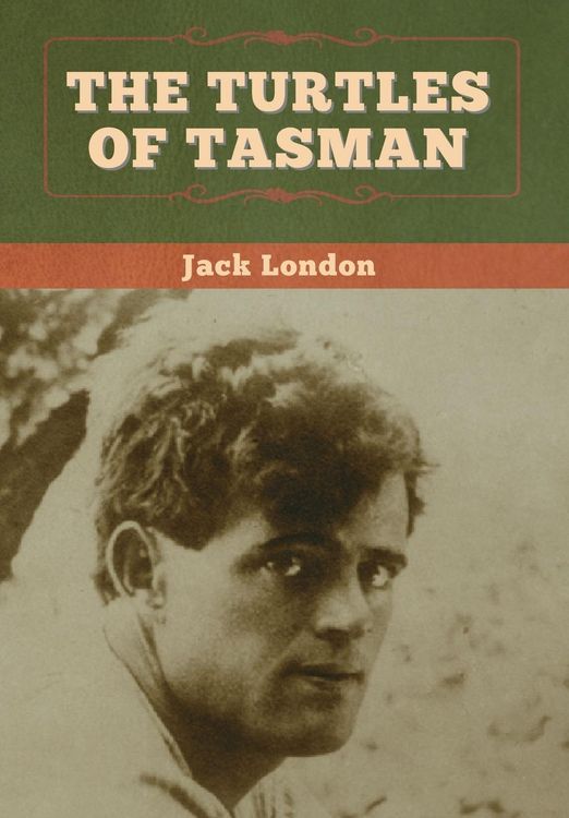 Produktbild: The Turtles of Tasman