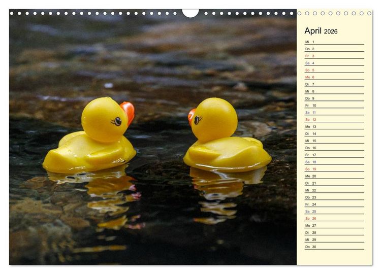 Produktbild: Enten-Rennen (Wandkalender 2026 DIN A3 quer), CALVENDO Monatskalender