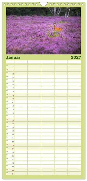 Produktbild: Familienplaner 2027 - Romantische Heidebl&uuml;te mit 5 Spalten (Wandkalender, 21 x 45 cm) CALVENDO