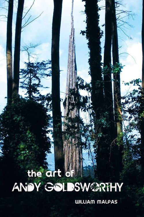 Produktbild: The Art of Andy Goldsworthy
