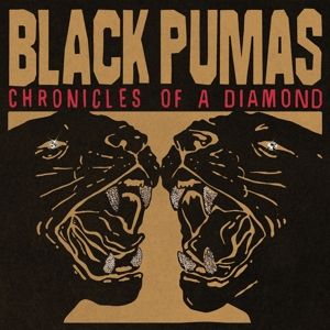 Produktbild: Chronicles Of A Diamond