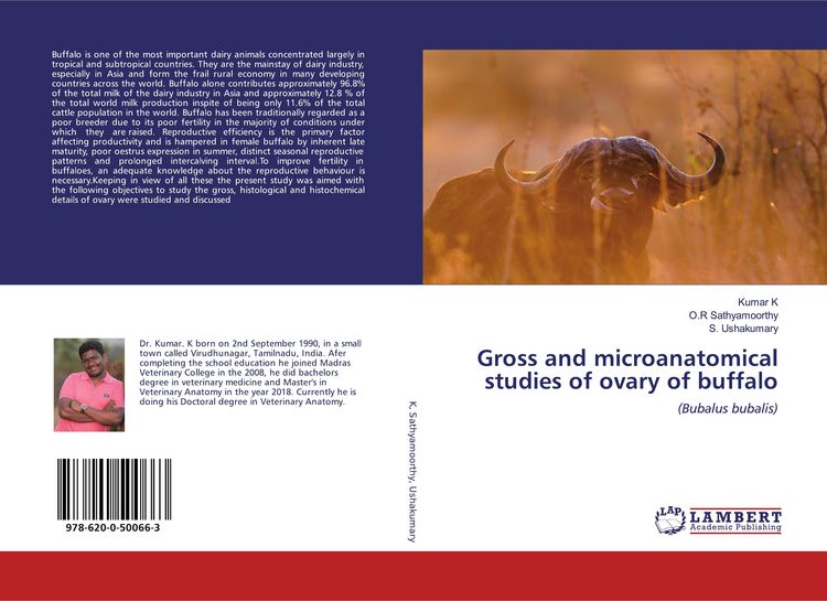 Produktbild: Gross and microanatomical studies of ovary of buffalo