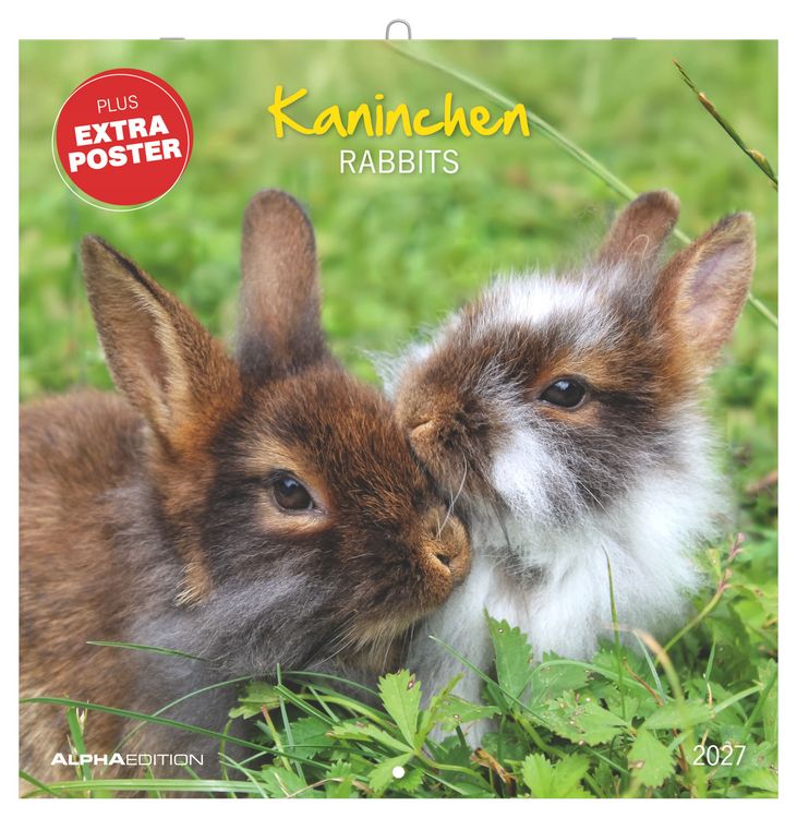Produktbild: Kaninchen 2027