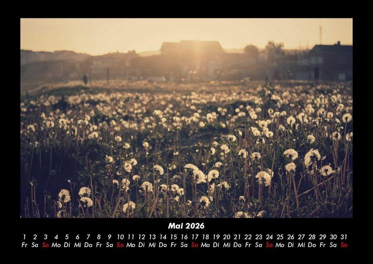 Produktbild: Bilder der Natur 2026 Fotokalender DIN A3