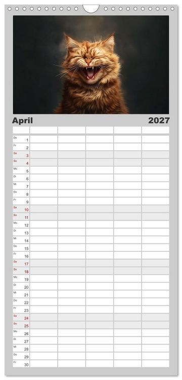 Produktbild: Familienplaner 2027 - Auch Katzen lachen gern mit 5 Spalten (Wandkalender, 21 x 45 cm) CALVENDO