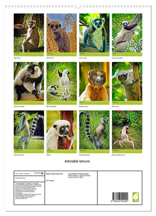 Produktbild: Adorable lemurs (High Quality Premium Wall Calendar 2026 DIN A2 portrait),CALVENDO 12 Month Wall Calendar