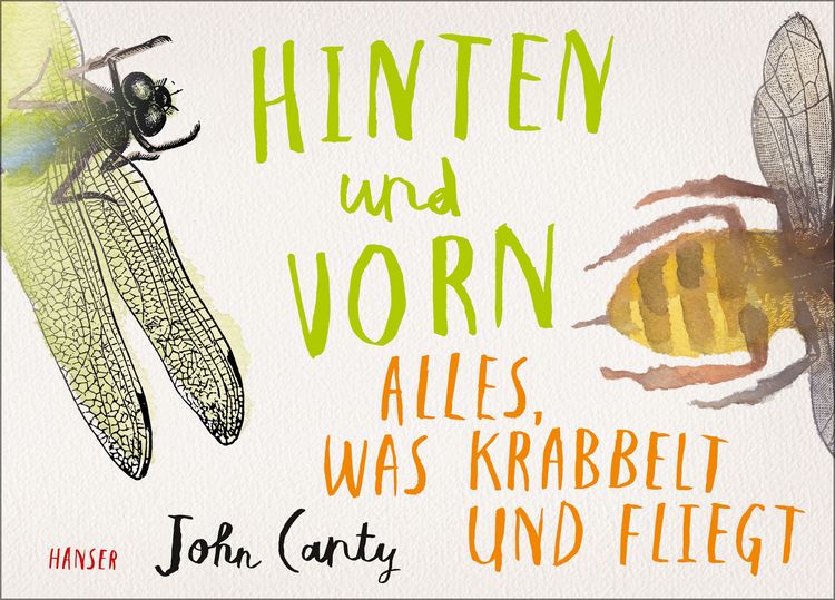 Produktbild: Hinten und vorn - Alles, was krabbelt und fliegt