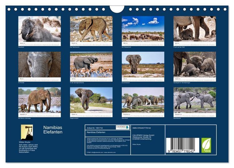 Produktbild: Namibias Elefanten (Wandkalender 2026 DIN A4 quer), CALVENDO Monatskalender