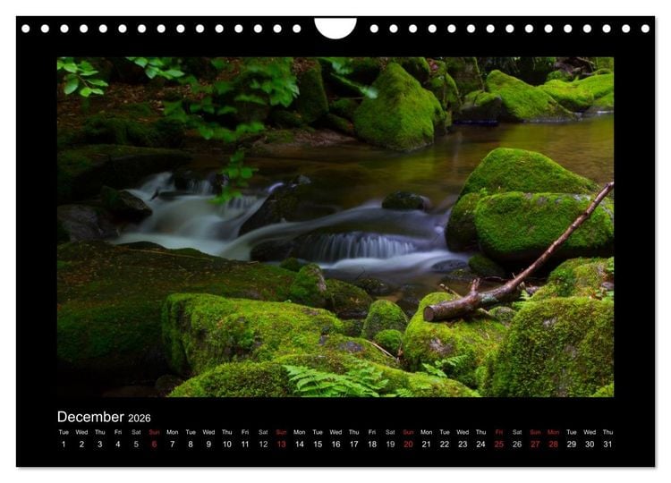 Produktbild: The Black Forest - UK Version (Wall Calendar 2026 DIN A4 landscape), CALVENDO 12 Month Wall Calendar