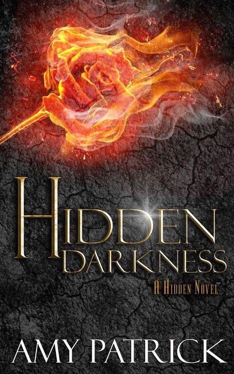 Produktbild: Hidden Darkness, Book 4 of the Hidden Saga