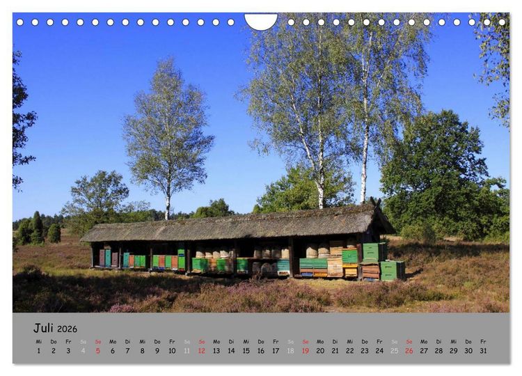 Produktbild: L&uuml;neburger Heide - sch&ouml;n zu jeder Jahreszeit (Wandkalender 2026 DIN A4 quer), CALVENDO Monatskalender