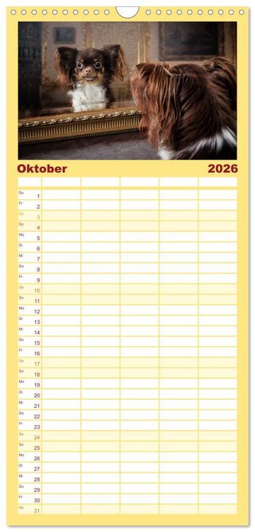 Produktbild: Familienplaner 2026 - Chihuahuas - Cool and Cute mit 5 Spalten (Wandkalender, 21 x 45 cm) CALVENDO