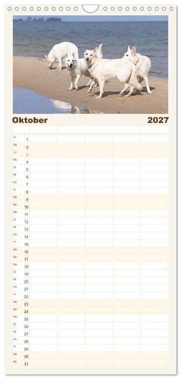 Produktbild: Familienplaner 2027 - Berger Blanc Suisse - Weggef&auml;hrten auf 4 Pfoten mit 5 Spalten (Wandkalender, 21 x 45 cm) CALVENDO