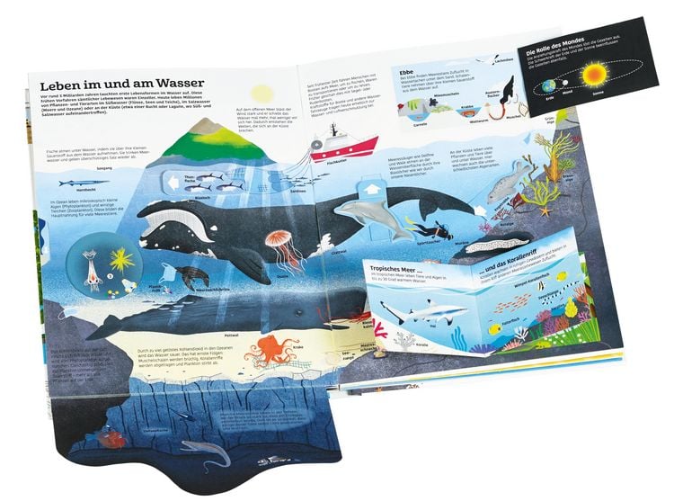 Produktbild: Mein gro&szlig;es Buch vom Wasser