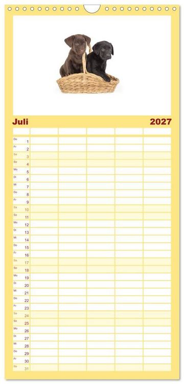 Produktbild: Familienplaner 2027 - Labrador - Welpen mit 5 Spalten (Wandkalender, 21 x 45 cm) CALVENDO