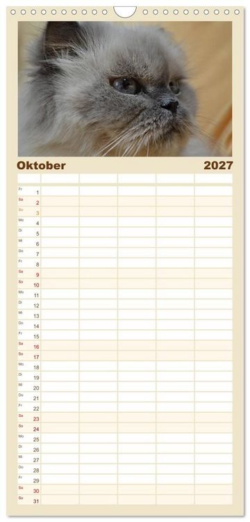 Produktbild: Familienplaner 2027 - Katzen im Portr&auml;t / Geburtstagskalender mit 5 Spalten (Wandkalender, 21 x 45 cm) CALVENDO