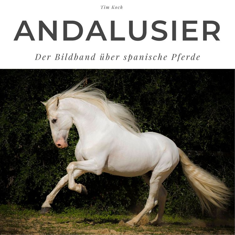 Produktbild: Andalusier