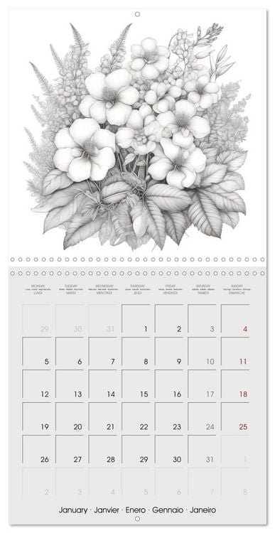 Produktbild: Le monde v&eacute;g&eacute;tal (Calendrier mural carr&eacute; 2026 30x30 cm) Calendrier double avec une page pour vos prises de notes