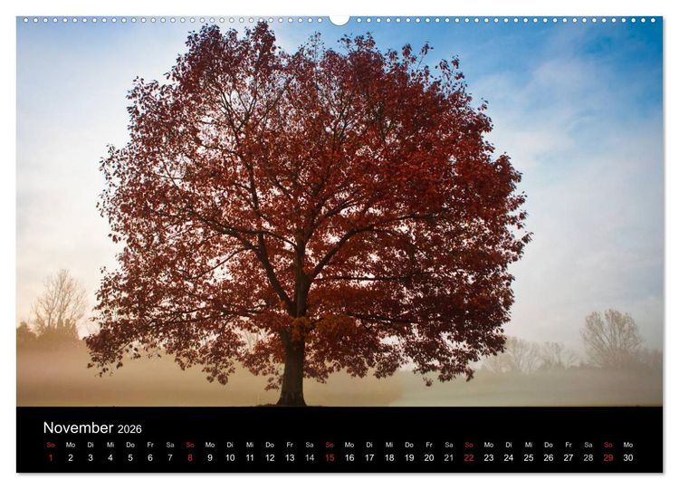 Produktbild: Farben der Natur (hochwertiger Premium Wandkalender 2026 DIN A2 quer), Kunstdruck in Hochglanz