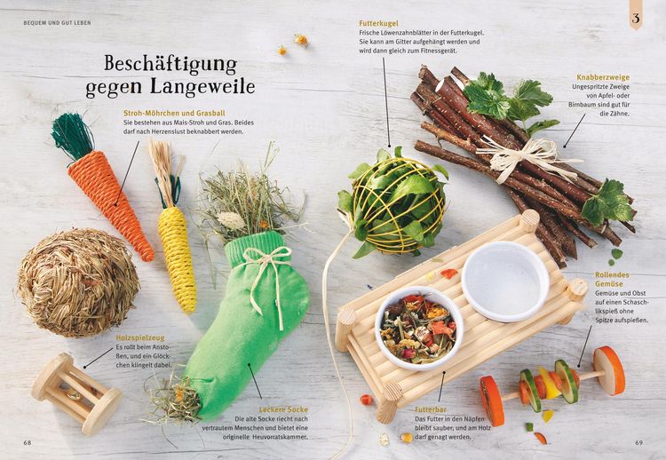 Produktbild: Neugierige Meerschweinchen