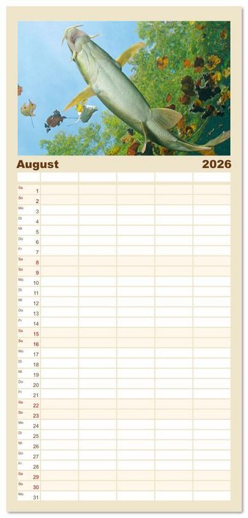 Produktbild: Familienplaner 2026 - Forelle, Hecht und St&ouml;r: Fische in europ&auml;ischen Gew&auml;ssern mit 5 Spalten (Wandkalender, 21 x 45 cm) CALVENDO
