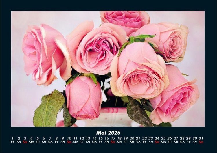 Produktbild: Rosen-Kalender 2026 Fotokalender DIN A4
