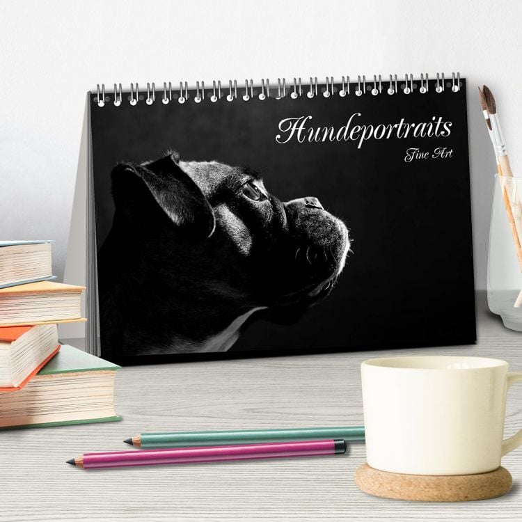 Produktbild: Hundeportraits Fine Art (Tischkalender 2026 DIN A5 quer), CALVENDO Monatskalender