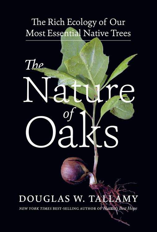 Produktbild: The Nature of Oaks