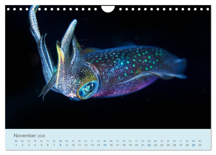 Produktbild: Abenteuer Unterwasser (Wandkalender 2026 DIN A4 quer), CALVENDO Monatskalender