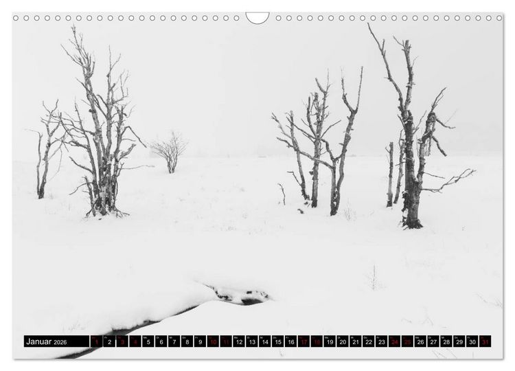 Produktbild: Das Hohe Venn (Wandkalender 2026 DIN A3 quer), CALVENDO Monatskalender