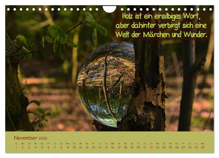 Produktbild: Wunderbare Waldkugeln (Wandkalender 2026 DIN A4 quer), CALVENDO Monatskalender