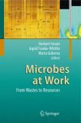 Produktbild: Microbes at Work