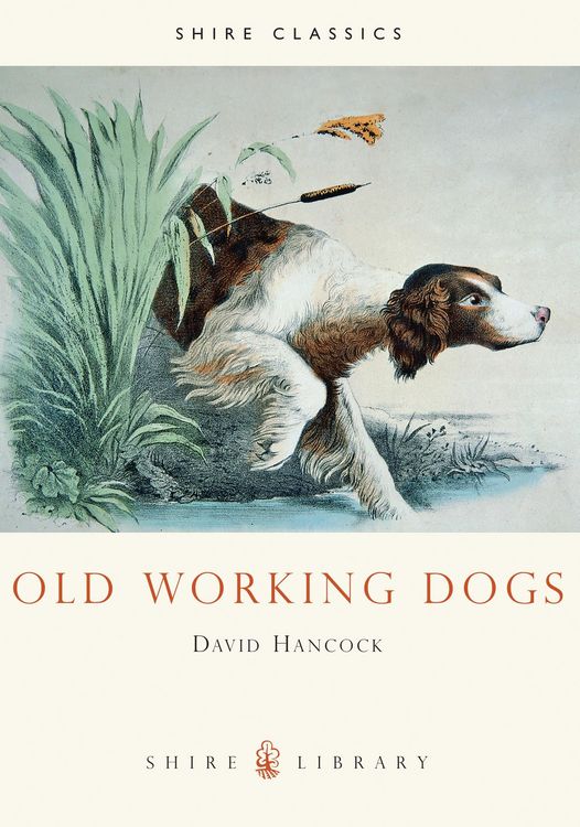 Produktbild: Old Working Dogs