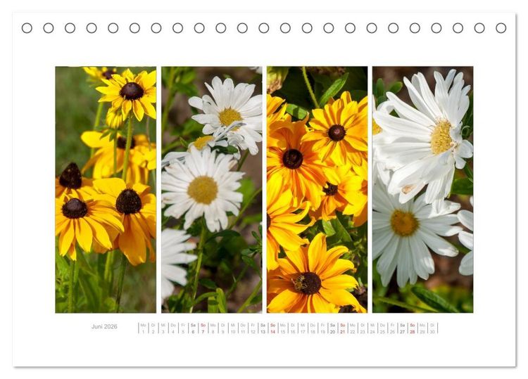 Produktbild: Gartenfreude (Tischkalender 2026 DIN A5 quer), CALVENDO Monatskalender