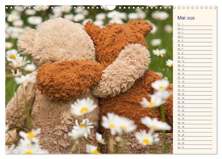 Produktbild: Geliebte B&auml;ren - Teddys (Wandkalender 2026 DIN A3 quer), CALVENDO Monatskalender