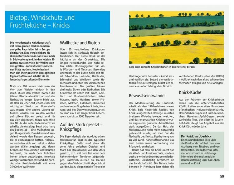 Produktbild: DuMont Reise-Taschenbuch Reisef&uuml;hrer Ostseek&uuml;ste Schleswig-Holstein