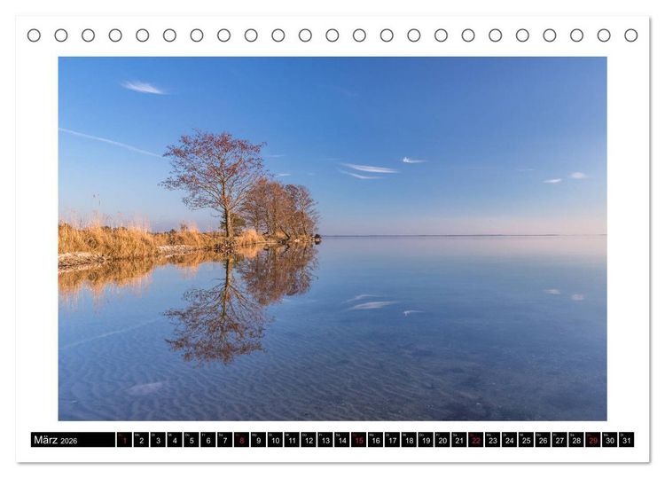Produktbild: Die M&uuml;ritz - Naturparadies der Mecklenburgischen Seenplatte (Tischkalender 2026 DIN A5 quer), CALVENDO Monatskalender