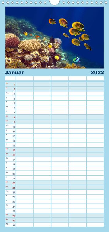 Produktbild: Riffleben - Einfach mal abtauchen - Familienplaner hoch (Wandkalender 2022 , 21 cm x 45 cm, hoch)