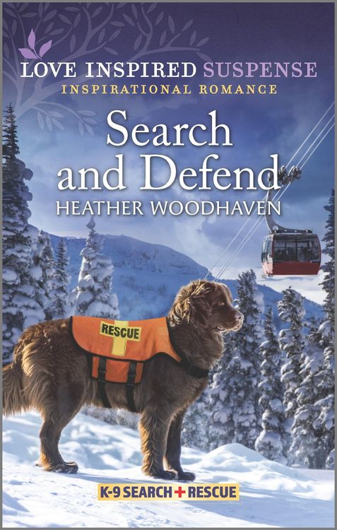 Produktbild: Search and Defend