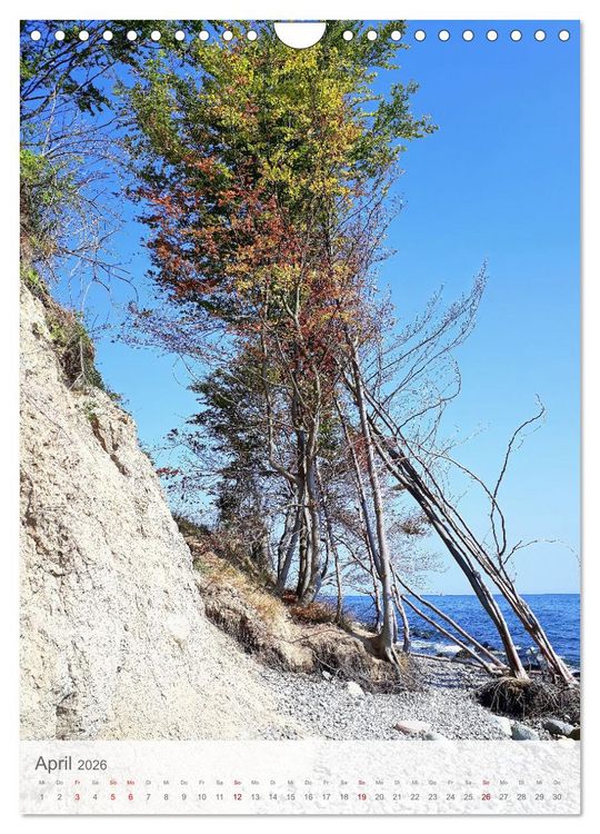 Produktbild: Im Nationalpark Jasmund - Naturwunder auf der Ostseeinsel R&uuml;gen (Wandkalender 2026 DIN A4 hoch), CALVENDO Monatskalender