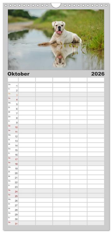 Produktbild: Familienplaner 2026 - Gut - besser - Boxer mit 5 Spalten (Wandkalender, 21 x 45 cm) CALVENDO