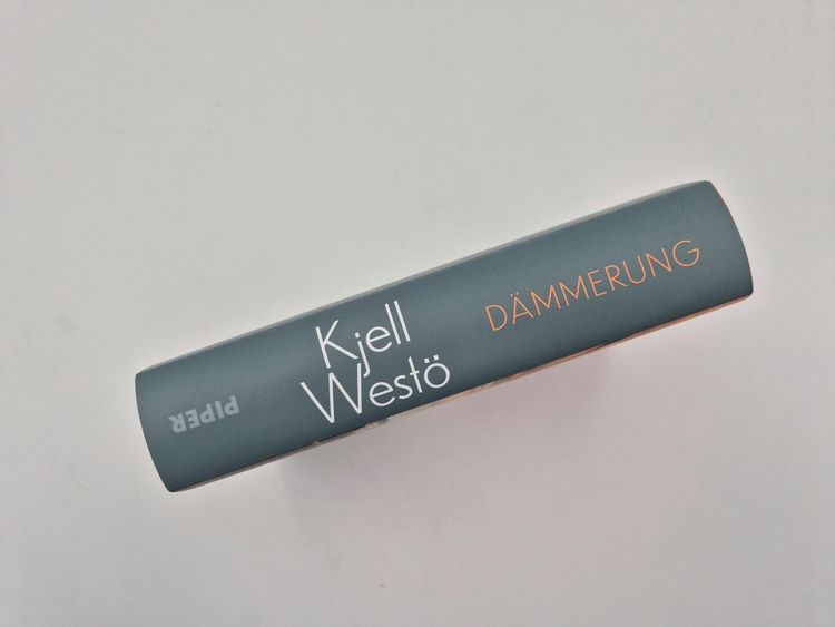 Produktbild: D&auml;mmerung