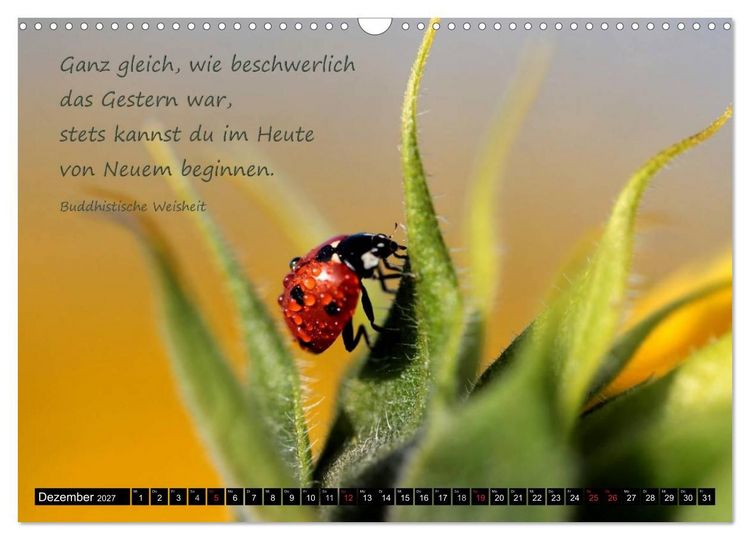 Produktbild: Das kleine, gro&szlig;e Gl&uuml;ck (Wandkalender 2027 DIN A3 quer), CALVENDO Monatskalender